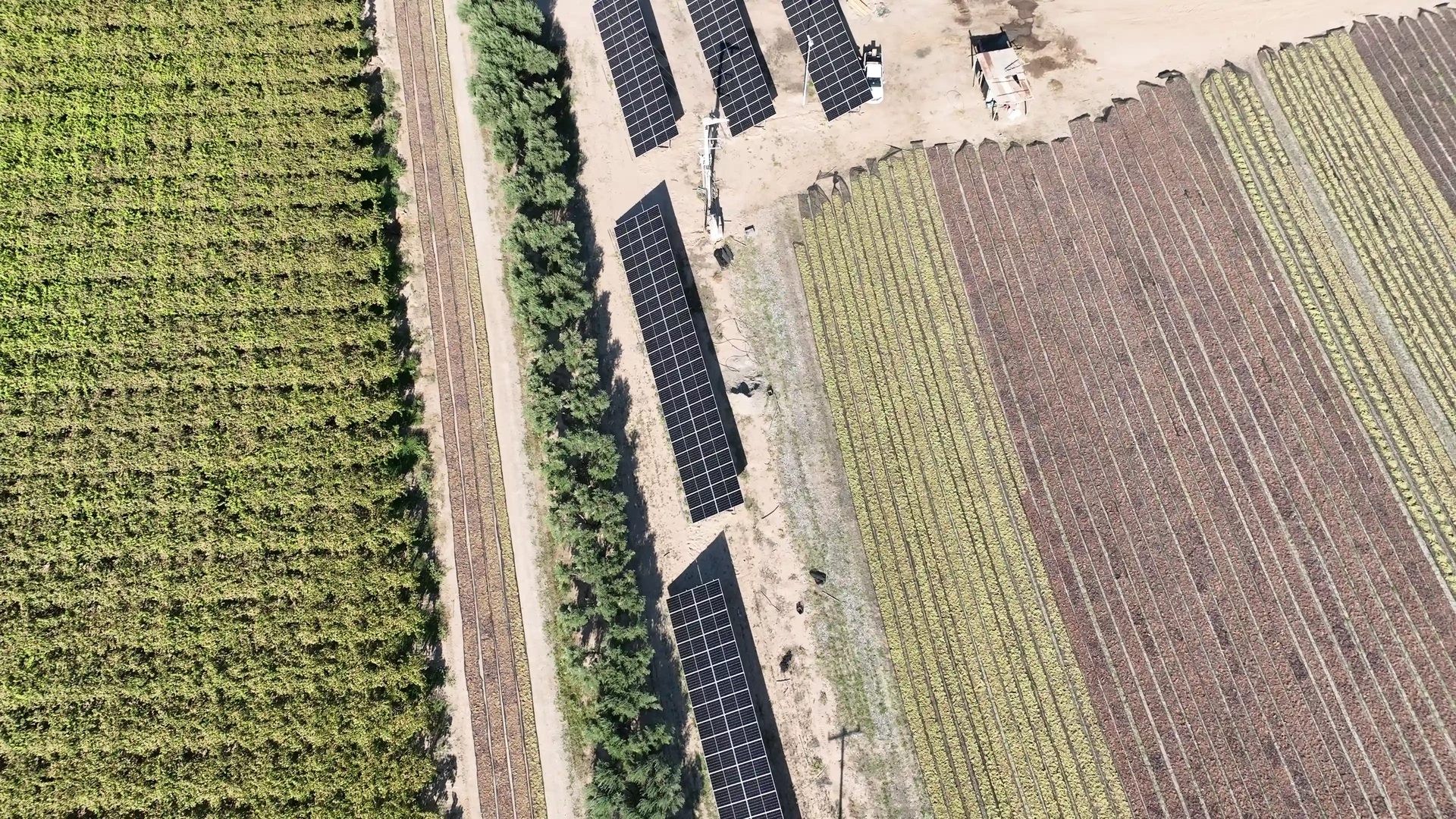 Energía solar sustentable - frame final